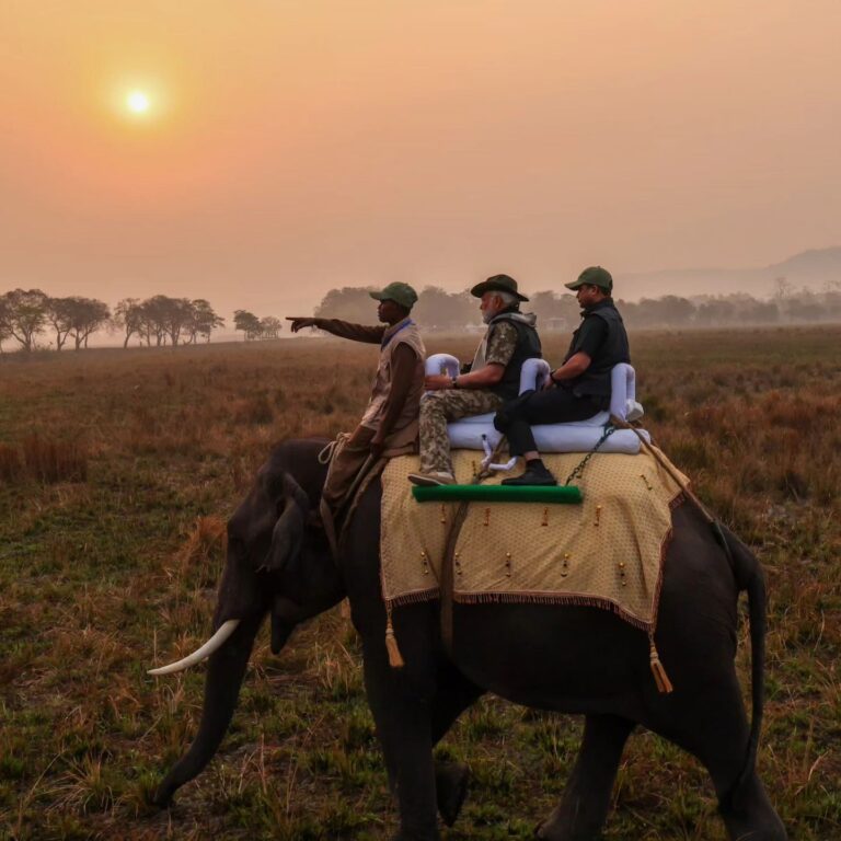 Splendid Kaziranga! #IncredibleIndia…